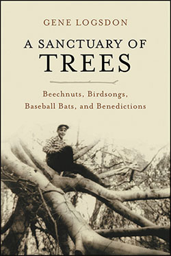 A SANCTUARY OF TREES Beechnuts Birdsongs Baseball Bats and Benedictions - photo 13