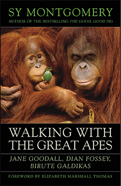 WALKING WITH THE GREAT APES Jane Goodall Dian Fossey Birut Galdikas SY - photo 12