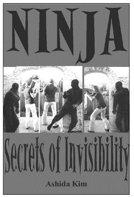 Learn for yourself the secret methods of the feared and dreaded Ninja - photo 4