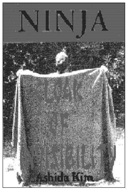 Ninja Cloak of Invisibility originally appeared as one-half of Ninja Cloak and - photo 5