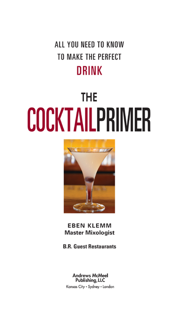 The Cocktail Primer copyright 2009 by BR Guest LLC Photographs copyright - photo 4