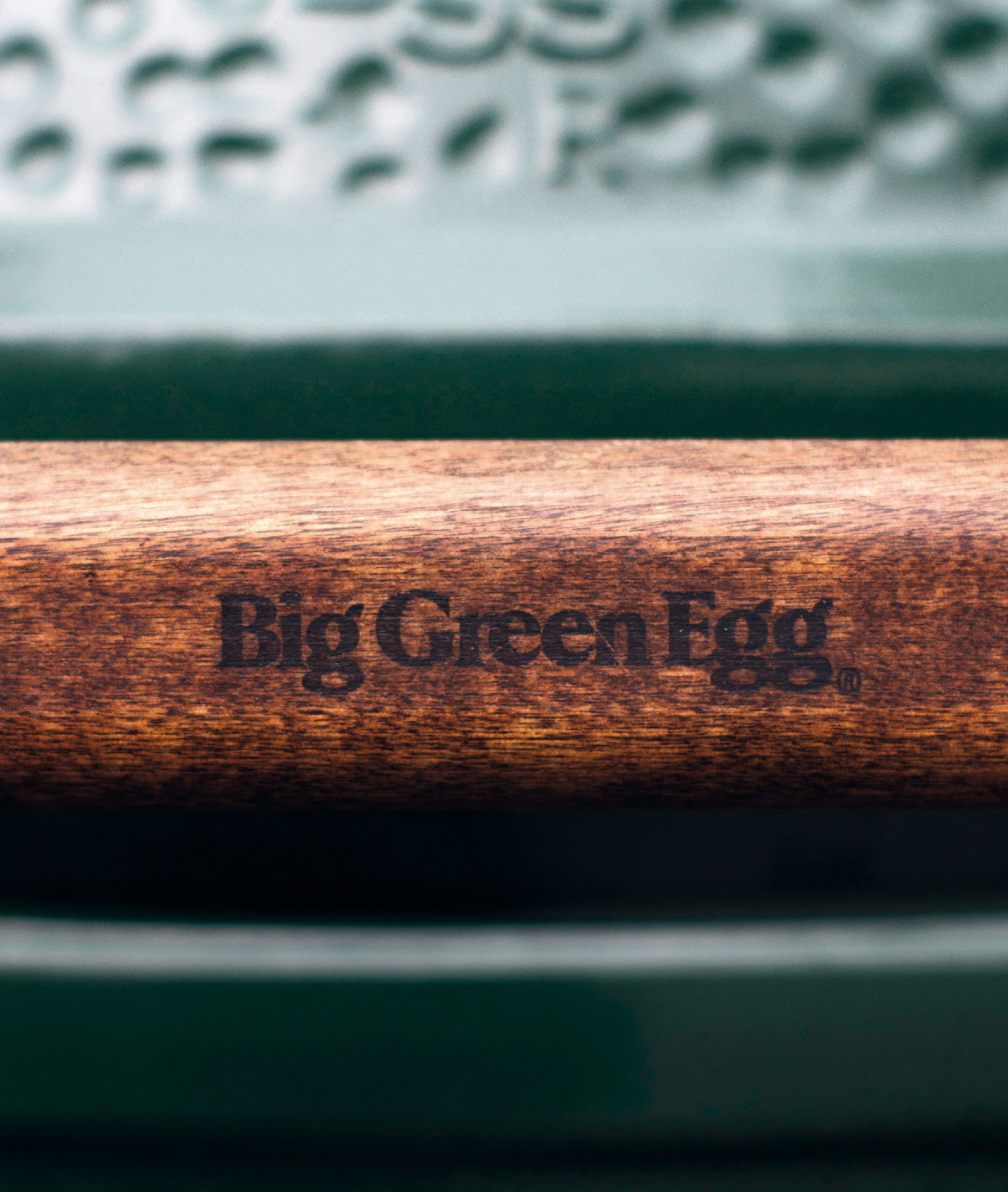 The Big Green Egg Book - photo 2