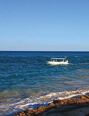 a tour boat in Cabo Pulmo palapa at Los Frailes Beach sunset from Las - photo 10