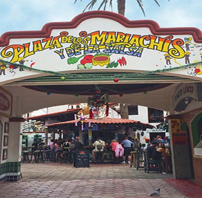 Plaza de los Mariachis in Cabo San Lucas FOUR DAYS Northern Baja is a popular - photo 18