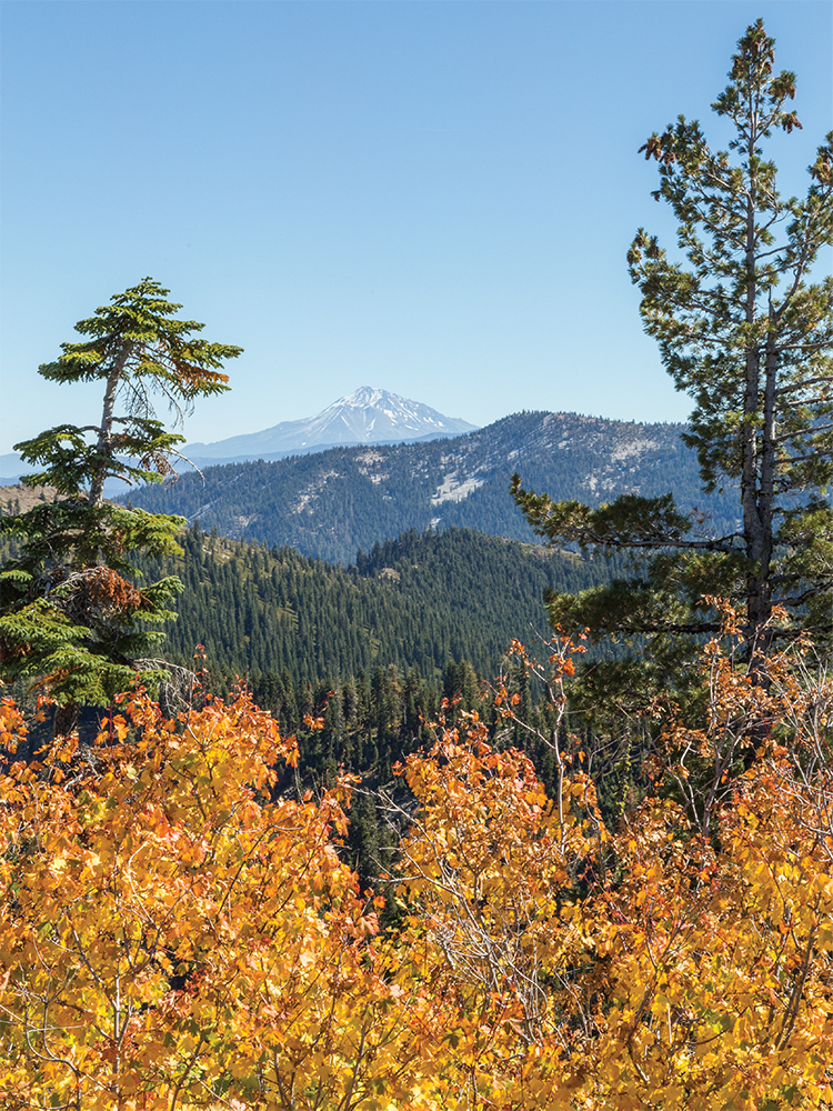 Mount Shasta seen here from the Marble Mountain Wilderness is a mark of - photo 5