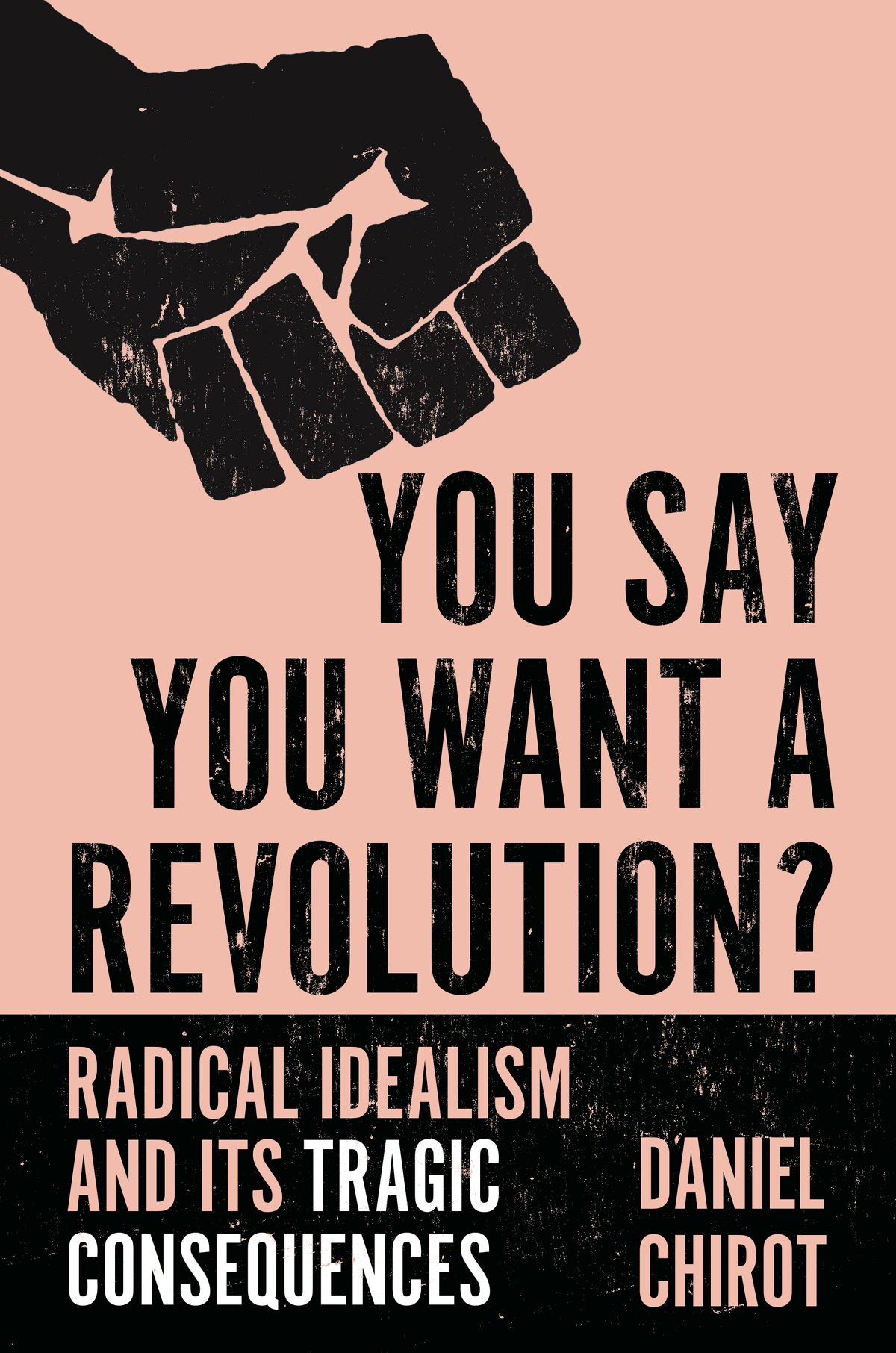 YOU SAY YOU WANT A REVOLUTION You Say You Want a Revolution RADICAL - photo 1