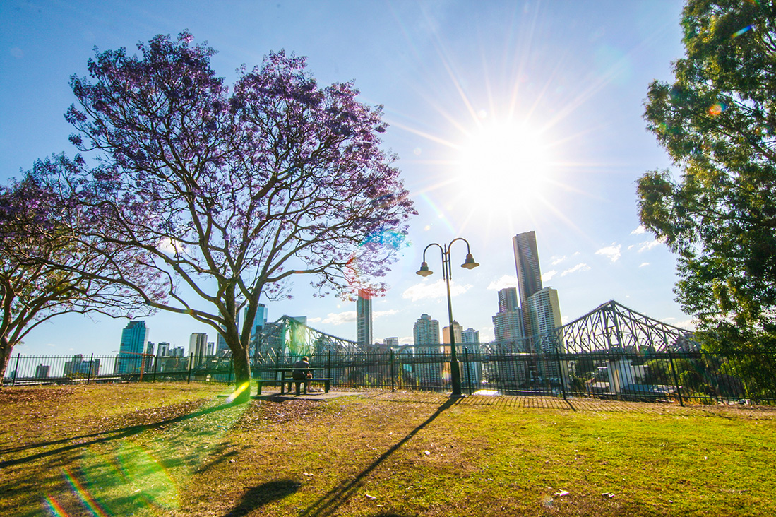 New Farm BERMTEERAWATSHUTTERSTOCK An Evening in Coolangatta - photo 14