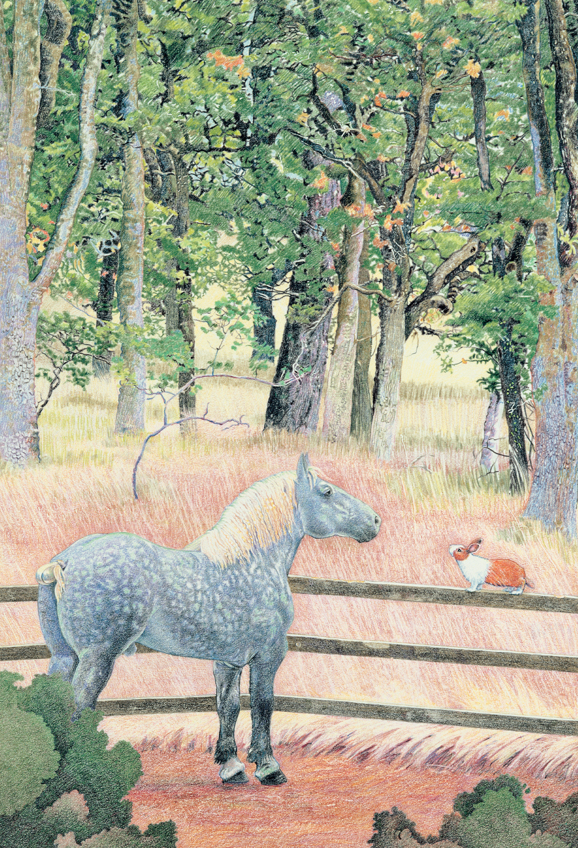 THE PERCHERON AND THE RABBIT DETAIL Colored Pencil on Rising Museum Board 18 - photo 8