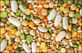 Fast Fact Beans are the worlds most concentrated source of plant-based - photo 7