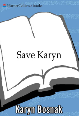 Bosnak Save Karyn: one shopaholics journey to debt and back