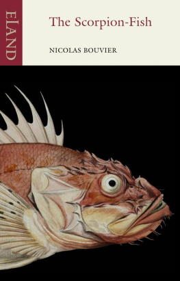 Bouvier The Scorpion Fish