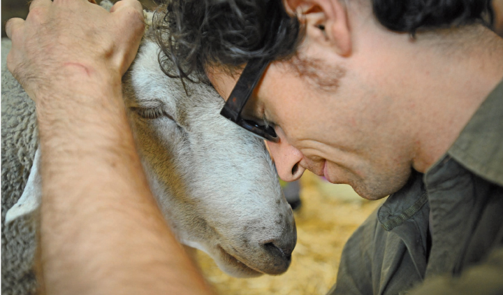 Other visitors are moved by sights like our goats the farms entertainers - photo 9