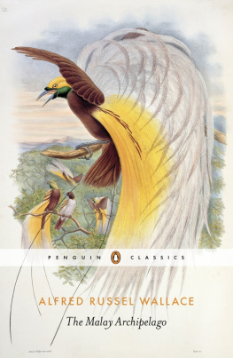 Berry Andrew The Malay archipelago: the land of the orang-utan, and the bird of paradise: a narrative of travel, with studies of man and nature