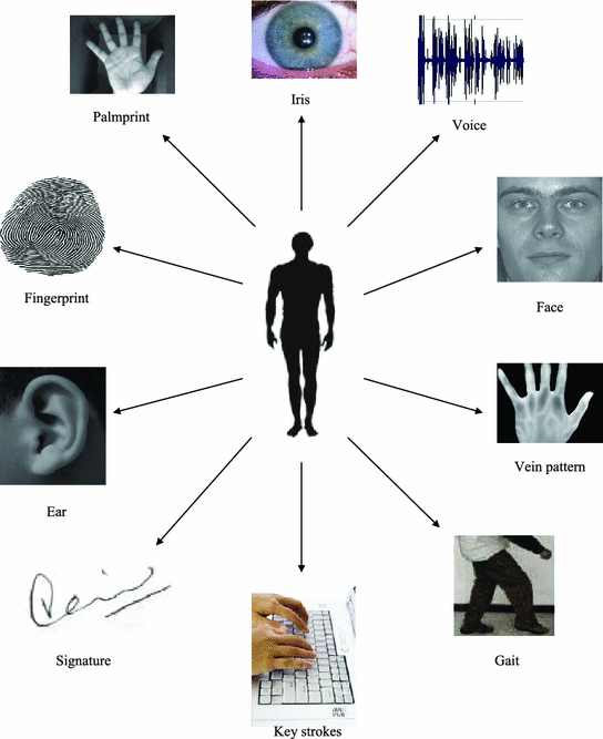 Fig 12 Different biometric traits for personal recognition 121 - photo 2