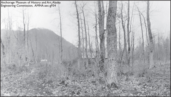 Archeological evidence suggests that much of Cook Inlet was occupied by - photo 3