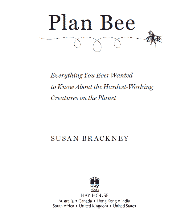 2009 by Susan Brackney The moral rights of the author have been asserted All - photo 1