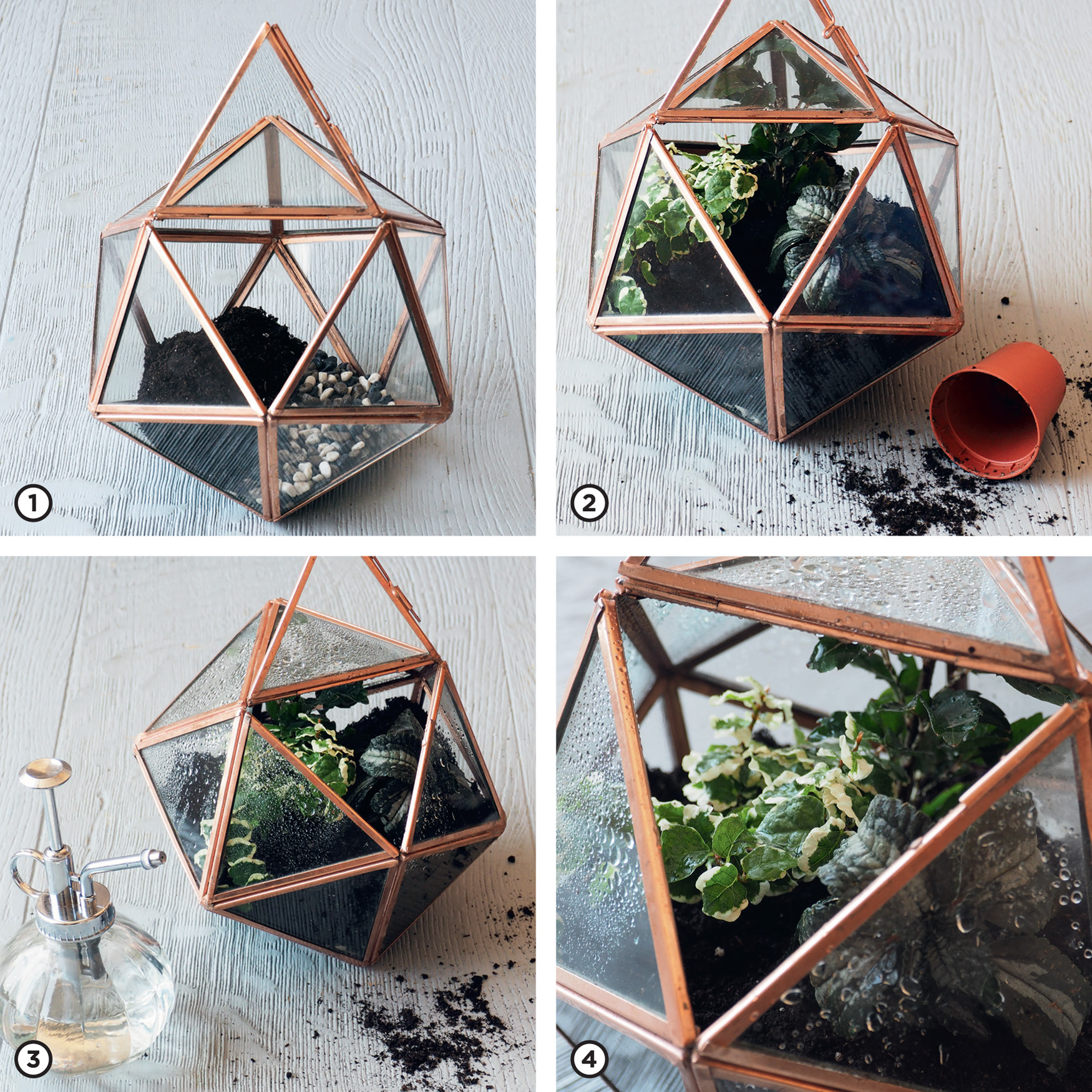 COOL SHADY OPEN TERRARIUM The sides of an open glass terrarium create a - photo 6