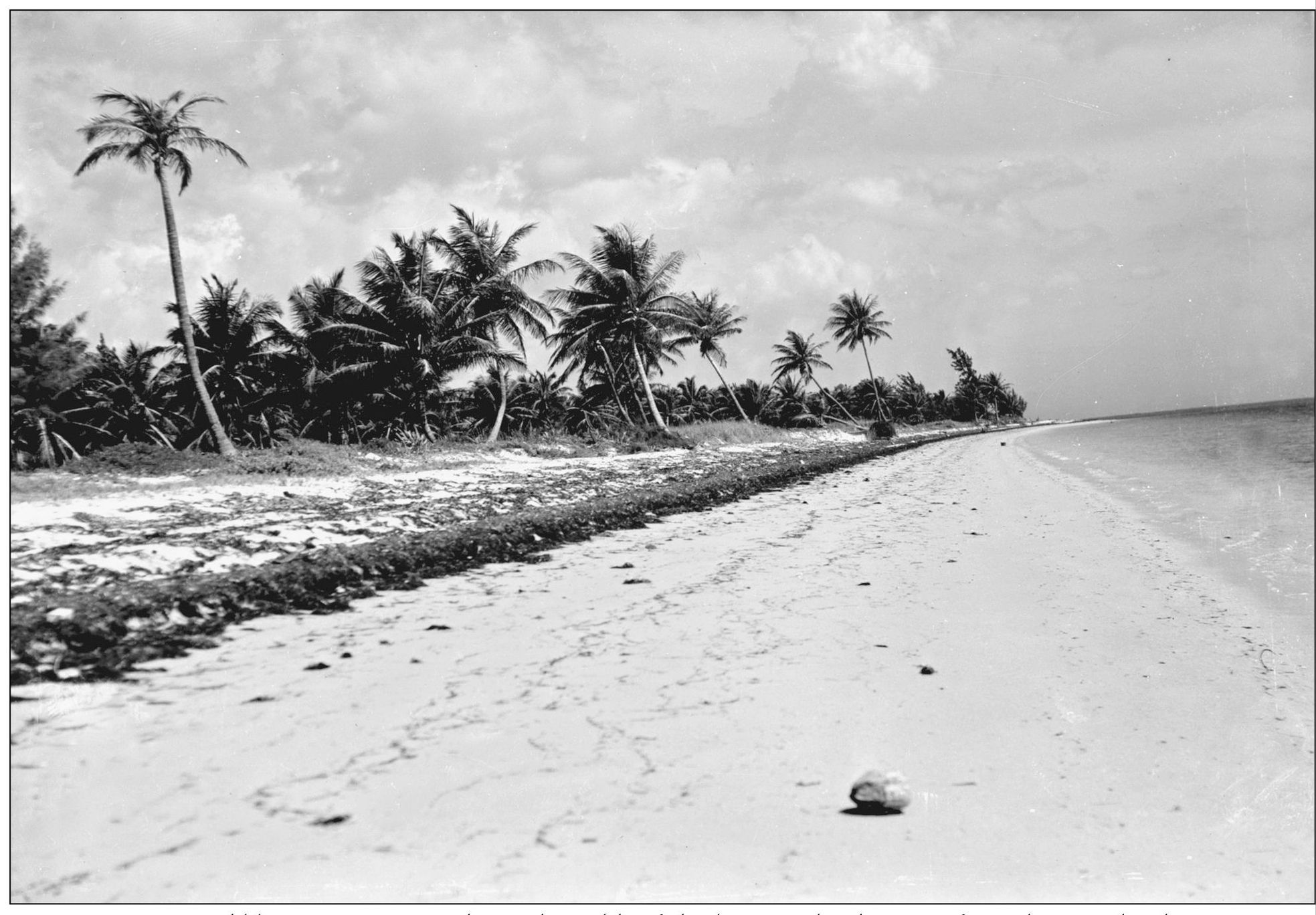 An incredibly rare 1906 view shows the wilds of the barrier islands across from - photo 10