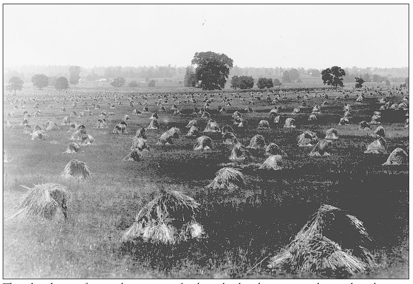 The abundance of natural resourcesfertile soil abundant stone clay and - photo 3