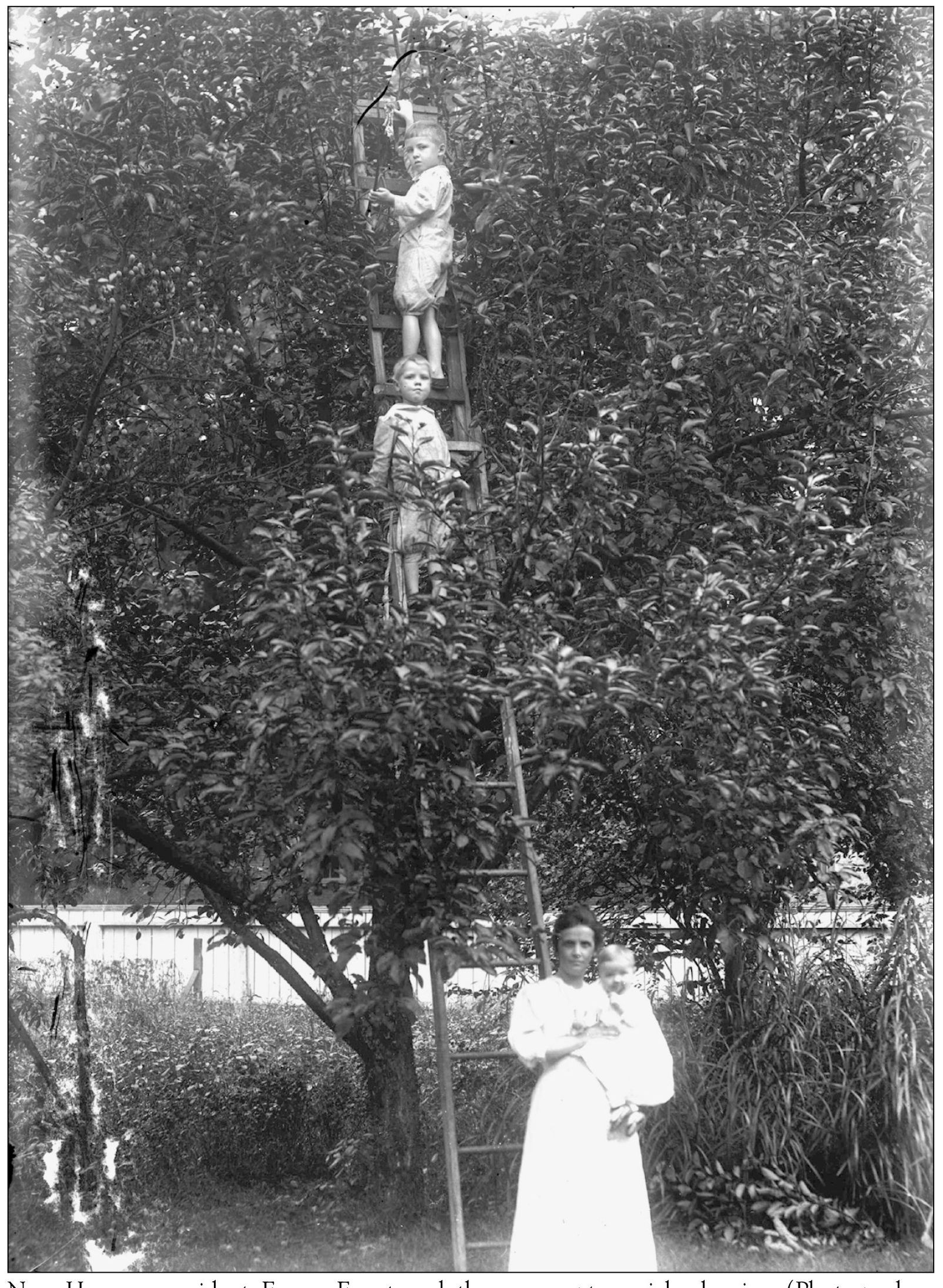 New Harmony resident Emma Freret and three youngsters pick cherries - photo 10