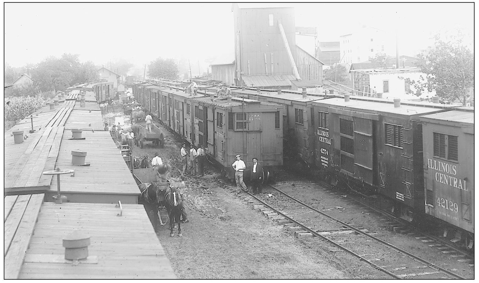 Shown here is one of the Illinois Central trains that passed through New - photo 12