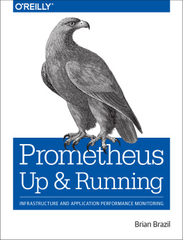 Brazil Prometheus: Up & Running