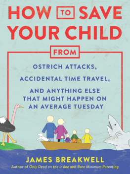 Breakwell How to Save Your Child from Ostrich Attacks, Accidental Time Travel and Anything Else that Might Happen on an Average Tuesday