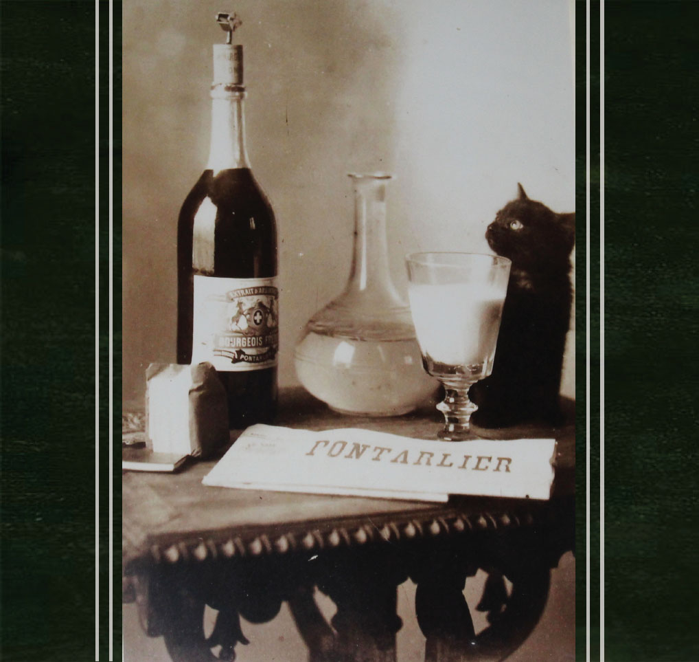 One of four black cat postcards that promote the allegedly docile Quality of - photo 4