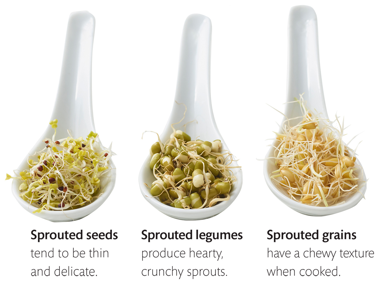 Soaking vs sprouting Soaking is the first step in the sprouting process but - photo 6