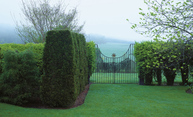 To Anne Cabot Contents Foreword People garden to make a difference in their own - photo 5