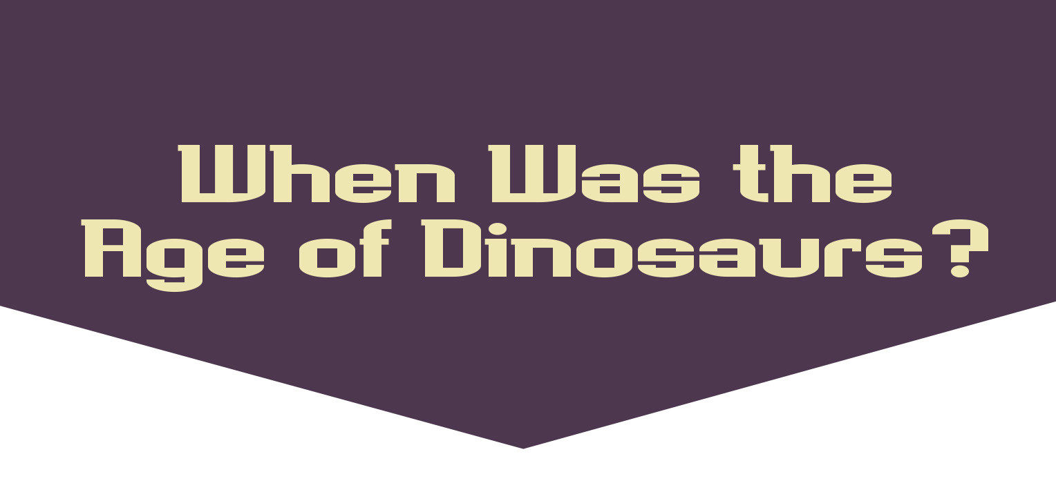 The Age of Dinosaurs began about 252 million years ago mya during a time - photo 8