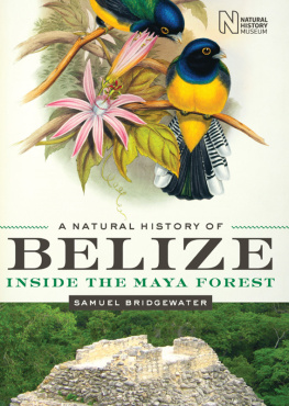 Samuel Bridgewater A Natural History of Belize: Inside the Maya Forest