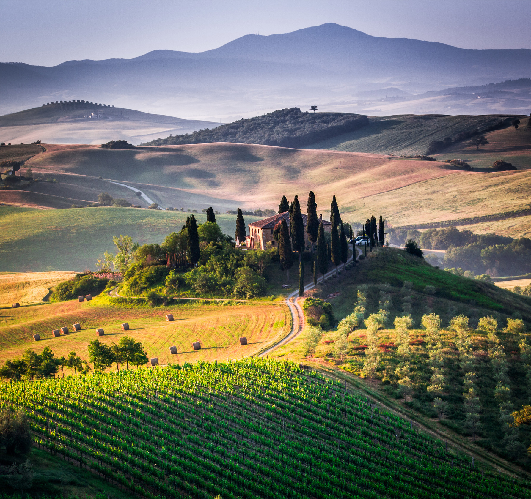 t Gentle hillsides pockets of woodland and rows of cypresses along winding - photo 10