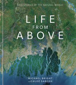 Bright Michael - Life from above: epic stories of the natural world