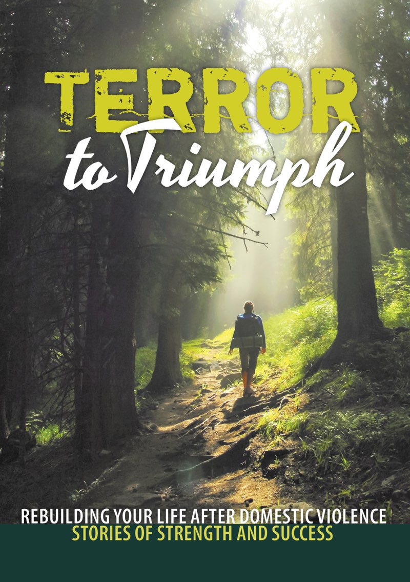 Terror to Triumph Rebuilding Your Life After Domestic Violence - Stories of - photo 1