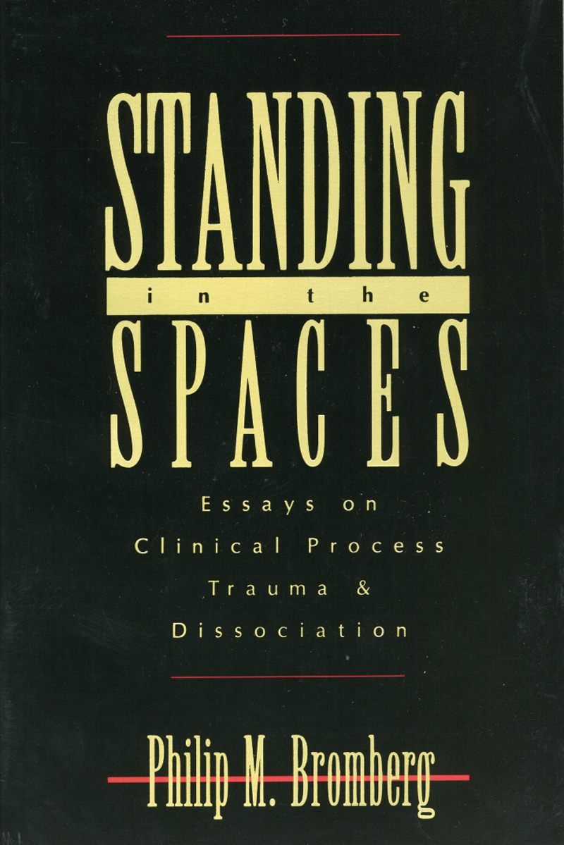 Standing in the Spaces STANDING IN THE SPACES Essays on Clinical Process - photo 1