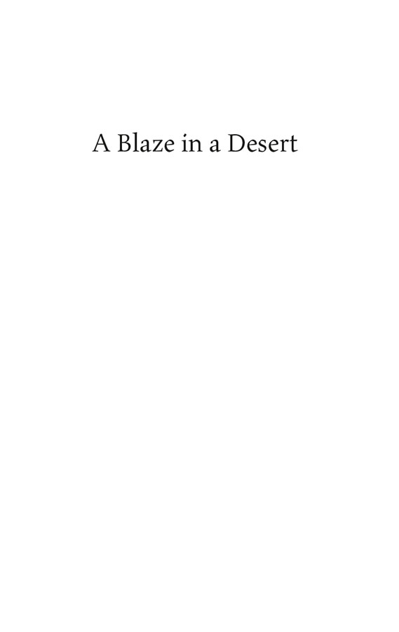 A Blaze in a Desert Selected Poems by Victor Serge Translation and edition - photo 2