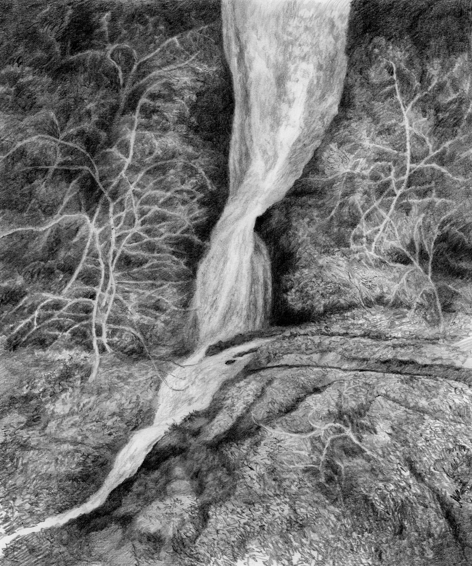 SUZANNE BROOKER WATERFALL STUDY 2016 GRAPHITE ON BRISTOL PAPER 12 X 10 - photo 1