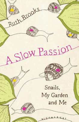 Brooks - A Slow Passion