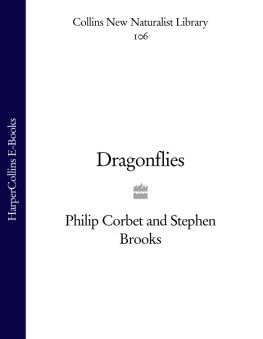 Brooks Stephen J. Dragonflies