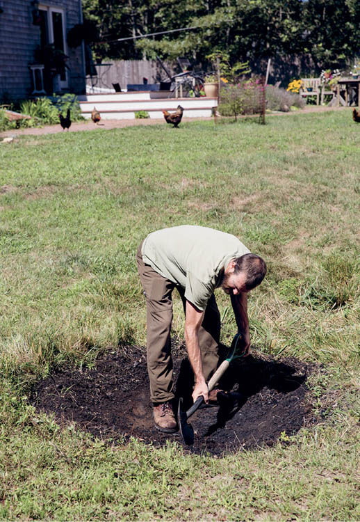 Remove any turf and dig out a shallow shapely pit a few inches deeper than - photo 7