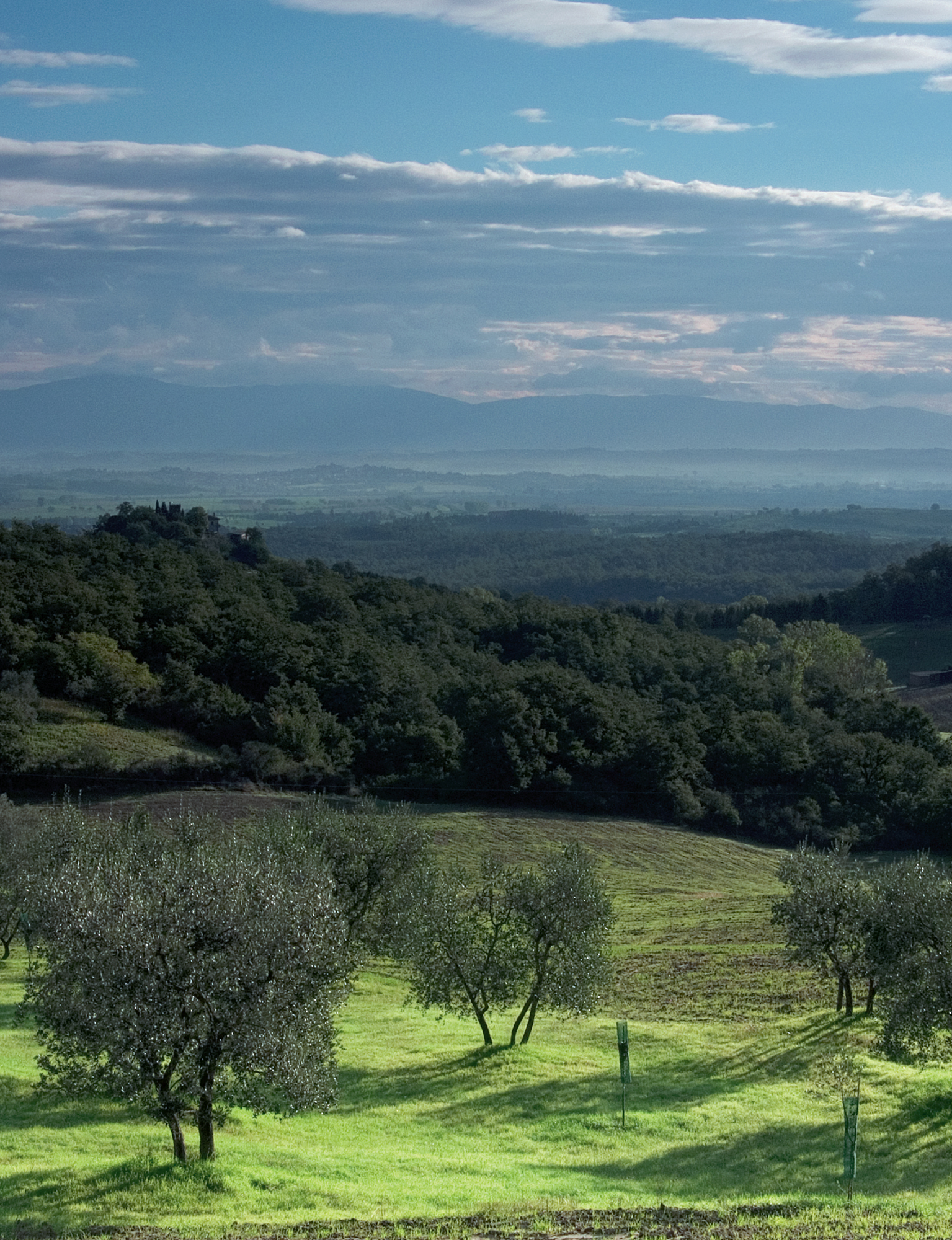 Returning to Tuscany As the final wooden spoon and measuring jug were squeezed - photo 5