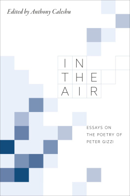 Caleshu Anthony - In the air: essays on the poetry of Peter Gizzi