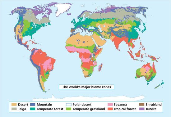 A map of the worlds biomes The largest is the water biome that includes - photo 4