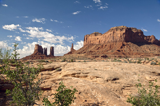 Monument Valley in Utah is an example of a desert habitat It is very dry with - photo 5