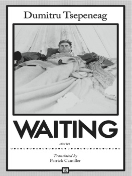 Camiller Patrick - Waiting: stories