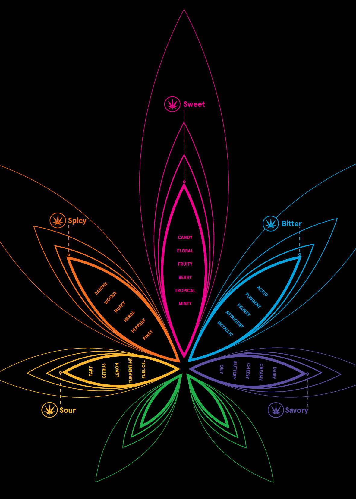 Bud and Beyond Cannabis flowers are the most popular and widespread choice when - photo 7