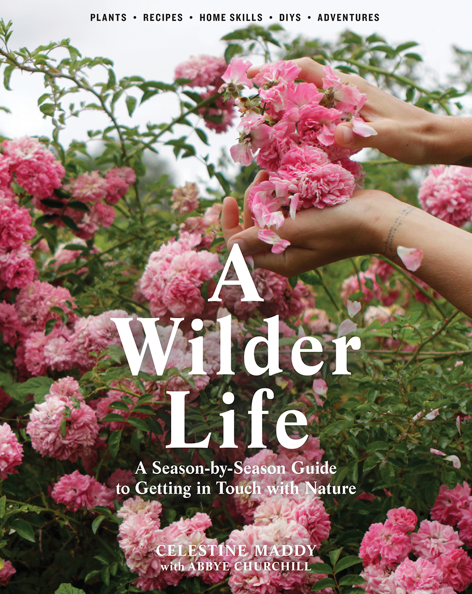 A Wilder Life A Season-by-Season Guide to Getting in Touch with Nature - photo 1