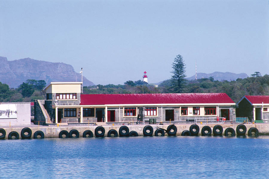 Uncaged beauties New arrivals on the luxury ferry Sikhululekile which means we - photo 10