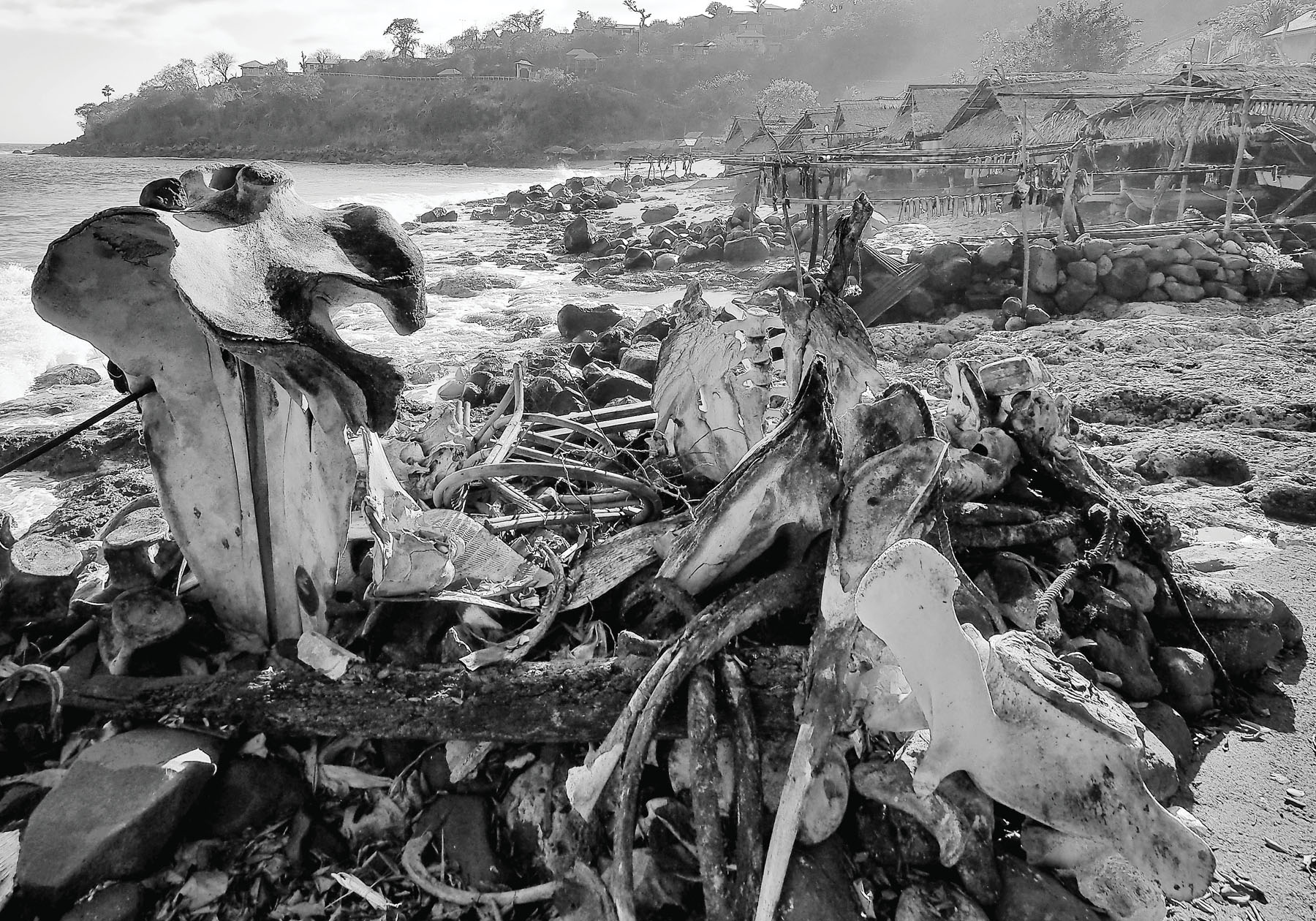 Lamalera Beach This is a true story I witnessed many of these events - photo 5